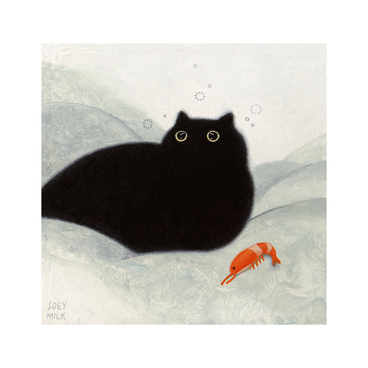 THE SHRIMPY BOY