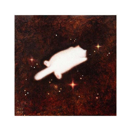 THE SPACE FLOOF